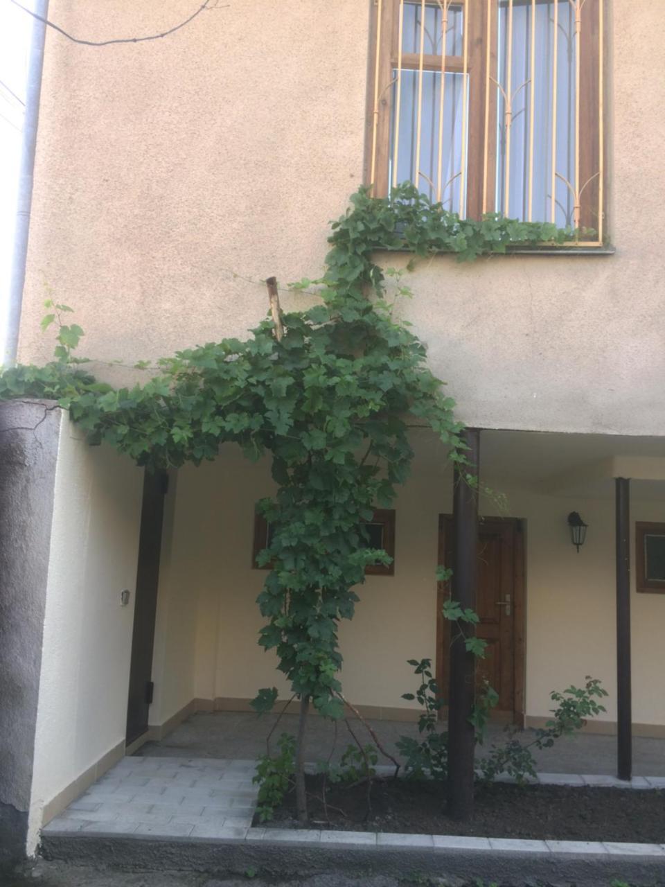 Guest House Kartuli Suli Telavi Kültér fotó